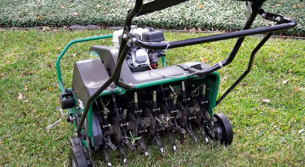 Aeration & overseeding