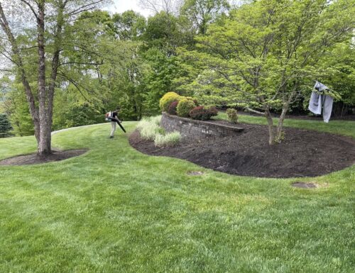 481910182_647183838002968_7510545196236496201_n