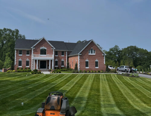 CCB5A743-595E-4F56-8D01-30ECEB5CB7FA